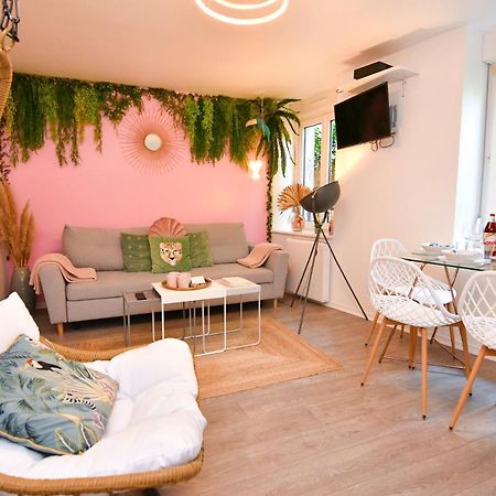 Апартаменти Le Nid Cosy - En Plein Coeur De Селеста Екстер'єр фото
