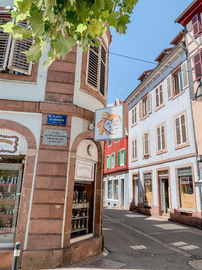 Апартаменти Le Nid Cosy - En Plein Coeur De Селеста Екстер'єр фото